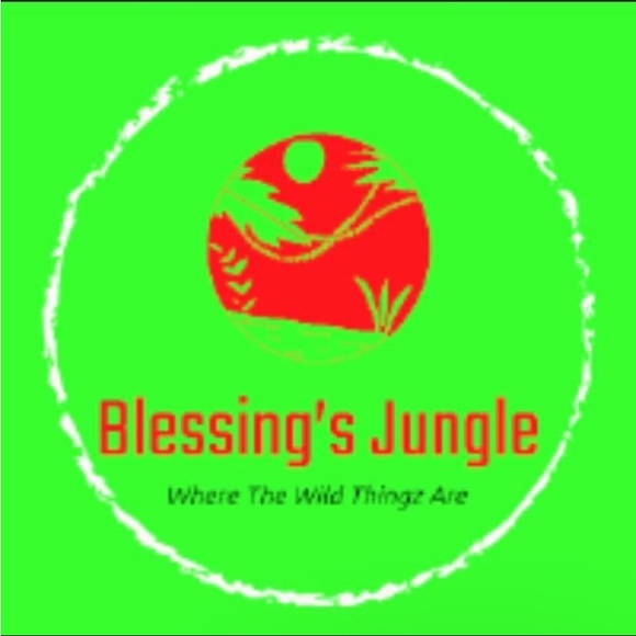 blessingjungle